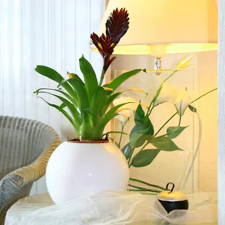 Stadt-hotel Gbr Lörrach